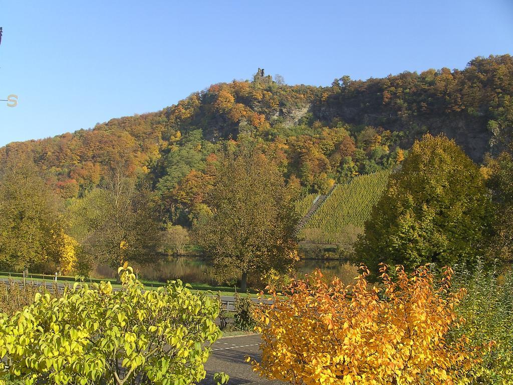 Kröv Haus Klosterblick מראה חיצוני תמונה
